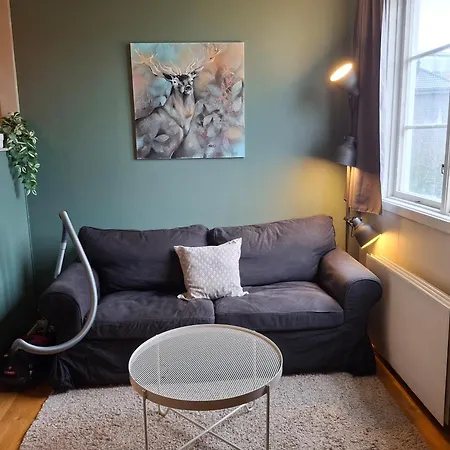 شقة Studioleilighet I Med Egen Inngang تروندهايم