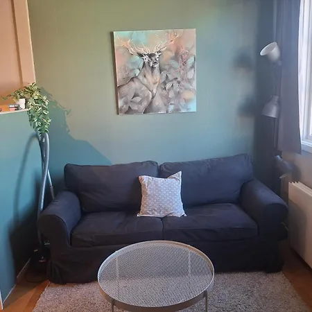 Studioleilighet I Med Egen Inngang Apartment