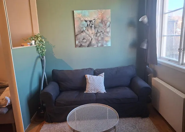 Studioleilighet I Med Egen Inngang Apartment