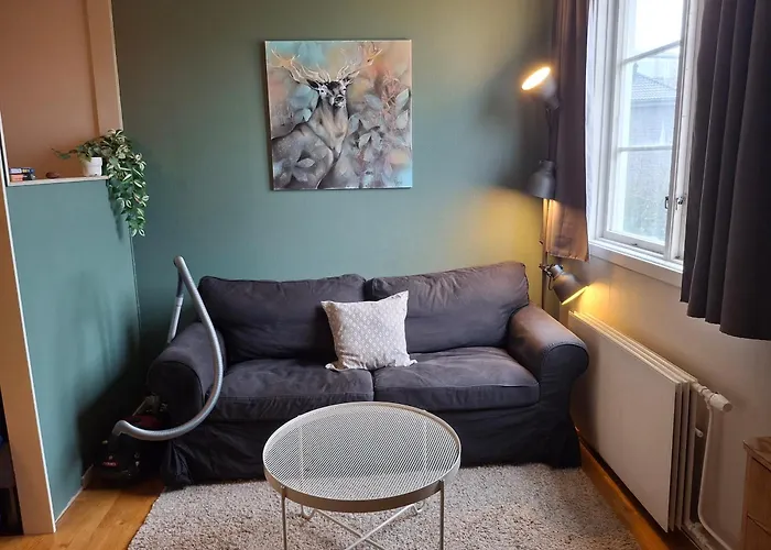 Apartment Studioleilighet I Med Egen Inngang Trondheim